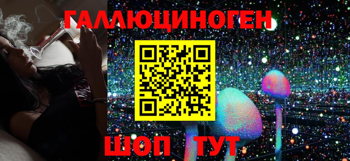 Тихорецк  Псилоцибиновые грибы Psilocybe  Вход с VPN 